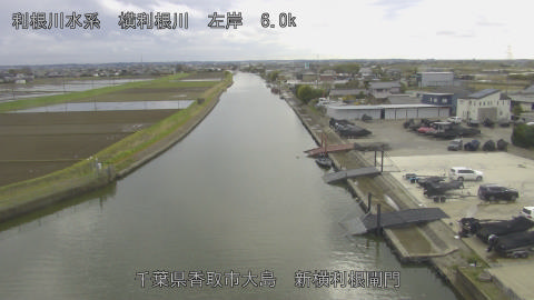 yoko2026040215_image