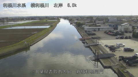 yoko2026040216_image