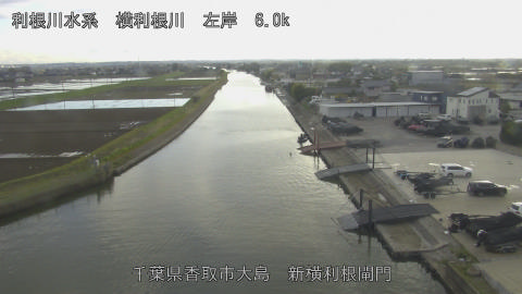 yoko2026040217_image