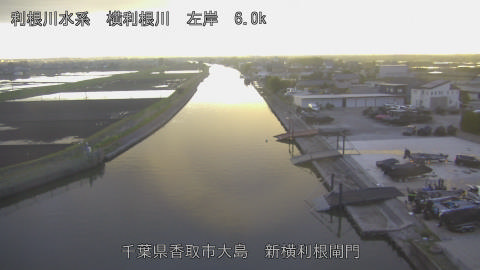 yoko2026040218_image