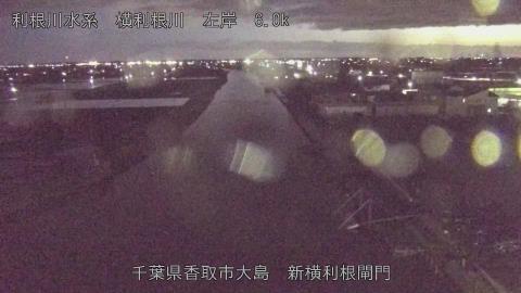 yoko2026040219_image