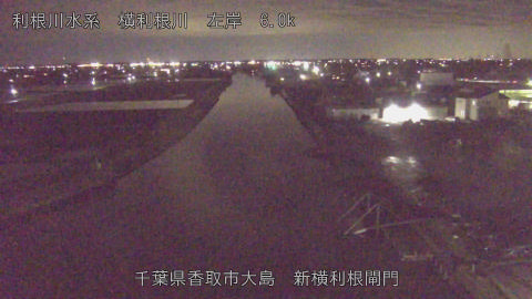 yoko2026040220_image