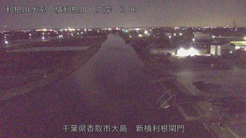 yoko2026040222_image