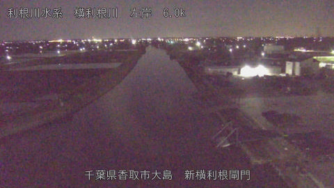 yoko2026040223_image