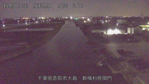 yoko2026040300_image