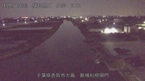 yoko2026040301_image