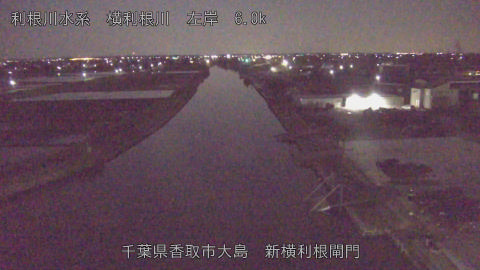 yoko2026040302_image