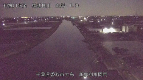 yoko2026040303_image