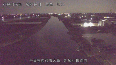 yoko2026040304_image