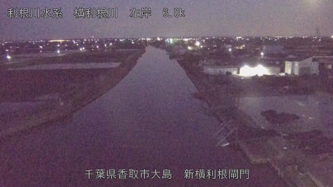 yoko2026040305_image