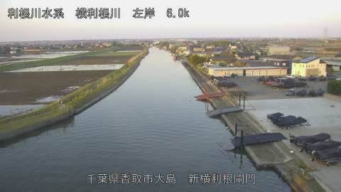 yoko2026040306_image