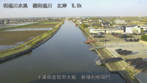 yoko2026040307_image