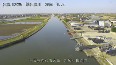 yoko2026040308_image