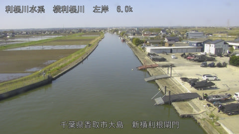 yoko2026040309_image