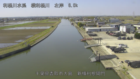 yoko2026040310_image