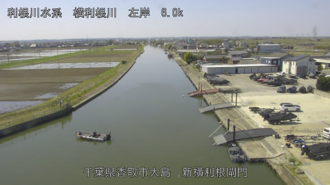 yoko2026040311_image