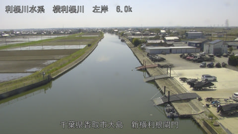 yoko2026040313_image