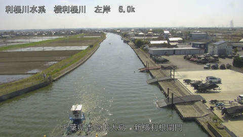 yoko2026040314_image