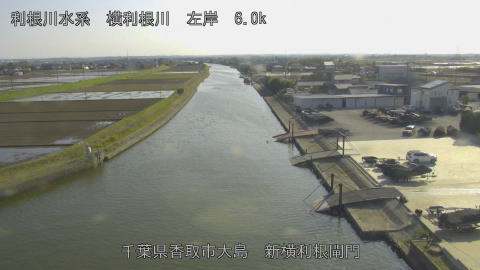 yoko2026040316_image