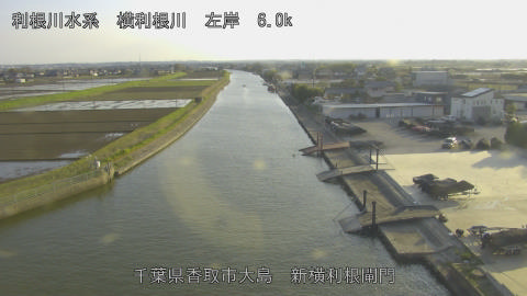 yoko2026040317_image