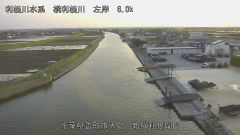 yoko2026040318_image