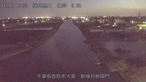 yoko2026040319_image