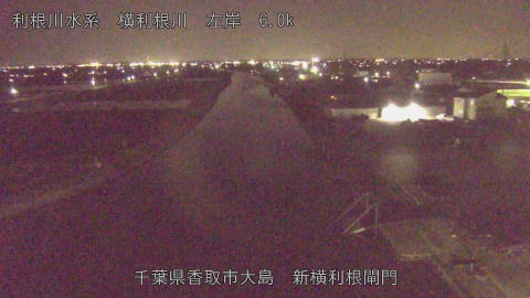 yoko2026040320_image