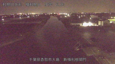 yoko2026040321_image