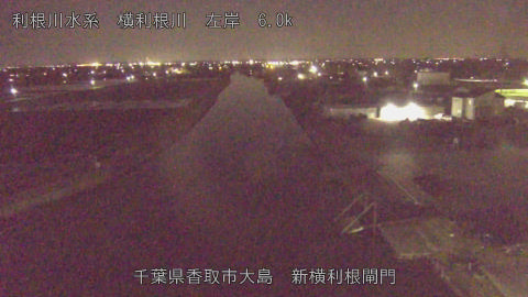 yoko2026040322_image