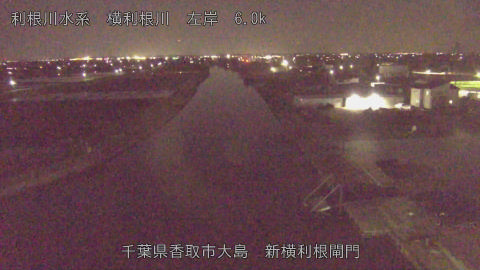 yoko2026040323_image