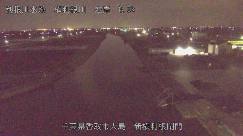 yoko2026040400_image