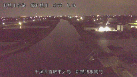 yoko2026040401_image