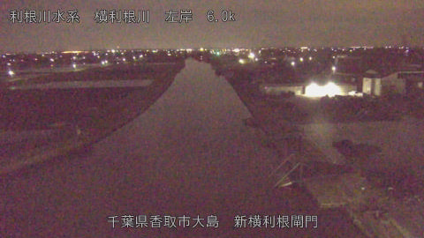 yoko2026040402_image