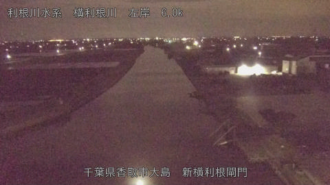 yoko2026040403_image