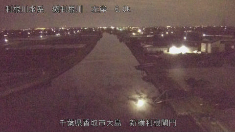 yoko2026040404_image