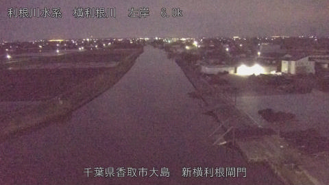 yoko2026040405_image