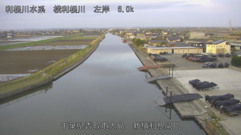 yoko2026040406_image