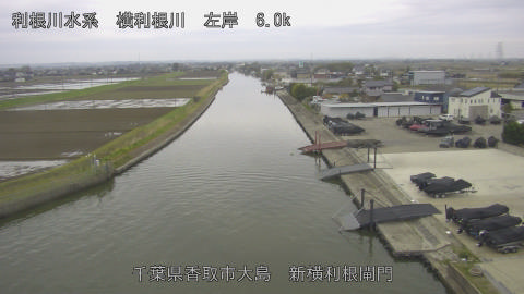 yoko2026040407_image