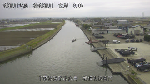 yoko2026040408_image