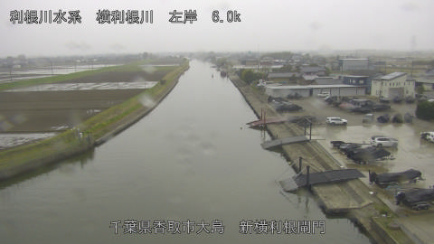 yoko2026040409_image