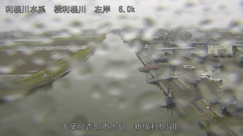 yoko2026040410_image