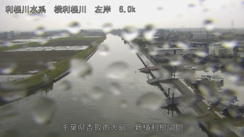 yoko2026040411_image