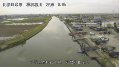 yoko2026040412_image