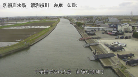 yoko2026040414_image