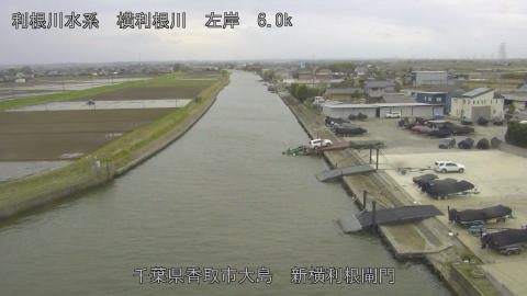 yoko2026040415_image