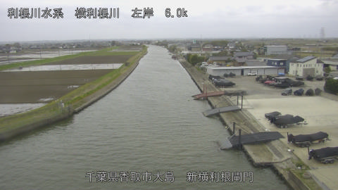 yoko2026040416_image