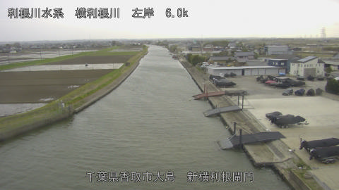 yoko2026040417_image