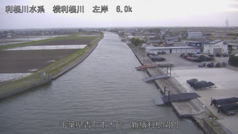 yoko2026040418_image