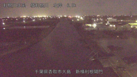 yoko2026040419_image