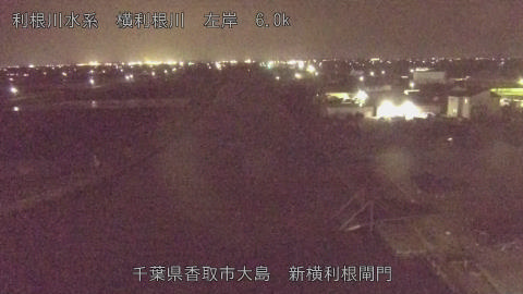 yoko2026040420_image